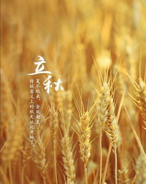 秋已至，夏已末